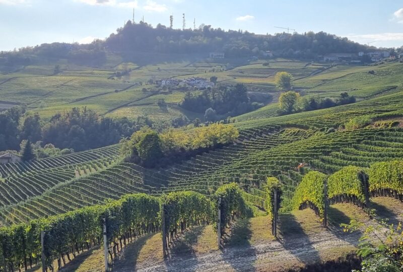 Vinprovning Piemonte och tryffel
