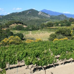 Hallbus vinresa till Provence/södra Rhône vy över dramatiskt och vackert landskap