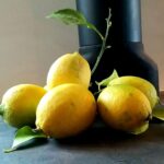 Limoncello citroner